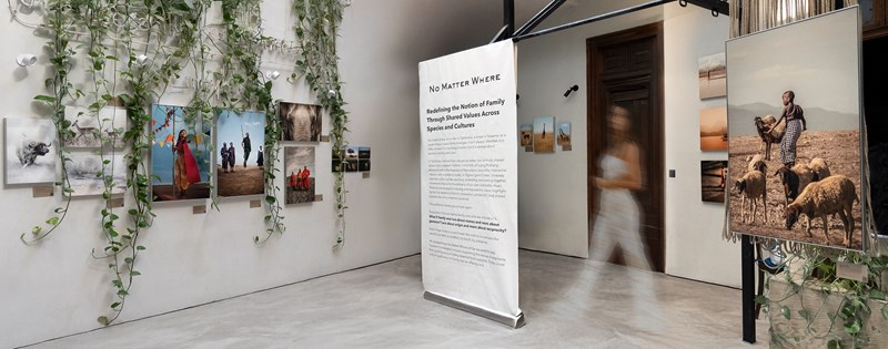 NMW_Exhibit.
