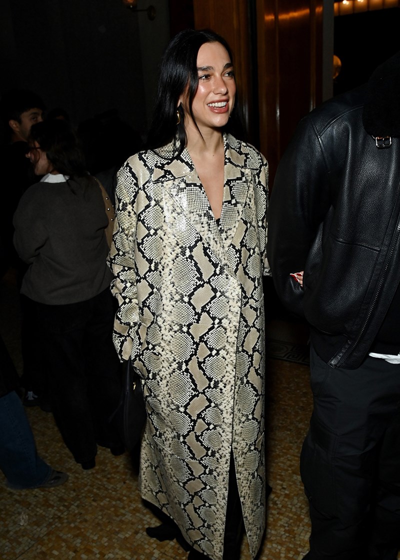 Dua Lipa with animal print bag