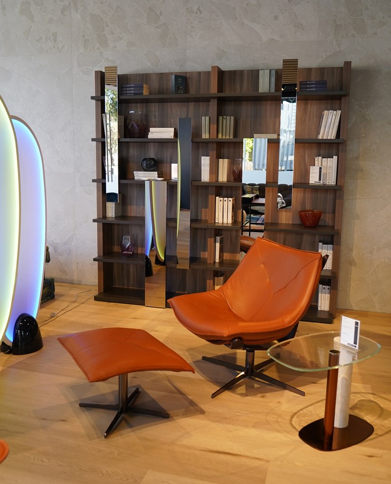 roche bobois