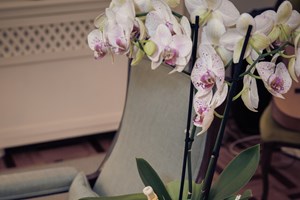 Από την Ισπανία με αγάπη: Ένας αιώνας Pedro Garcίa - εικόνα 7