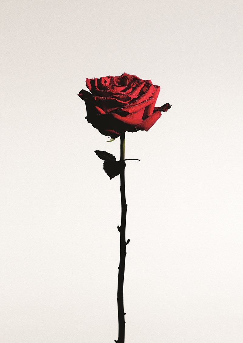 hm_magda