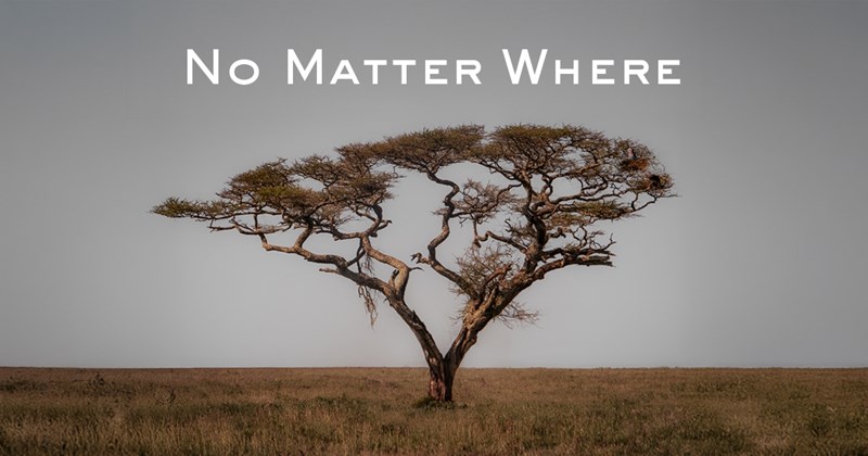 No_Matter_Where_Deltio_Tupou_A.