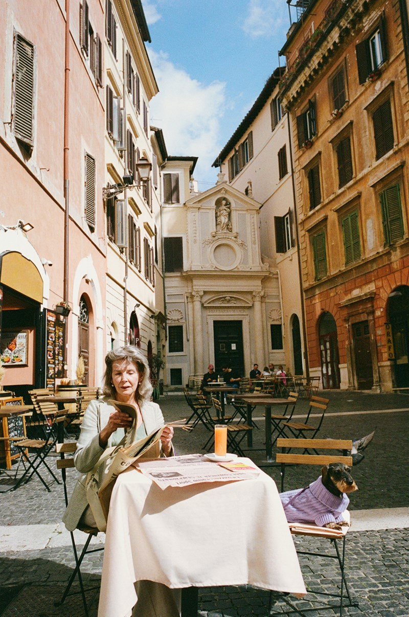 falconeri