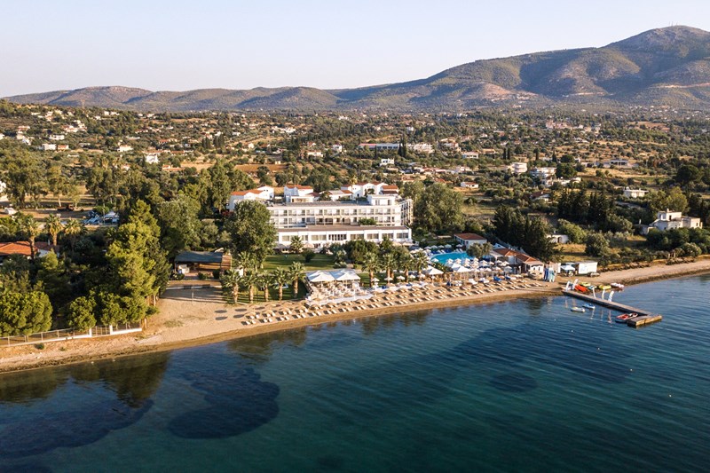 Brown-Beach-Eretria-by-Brown