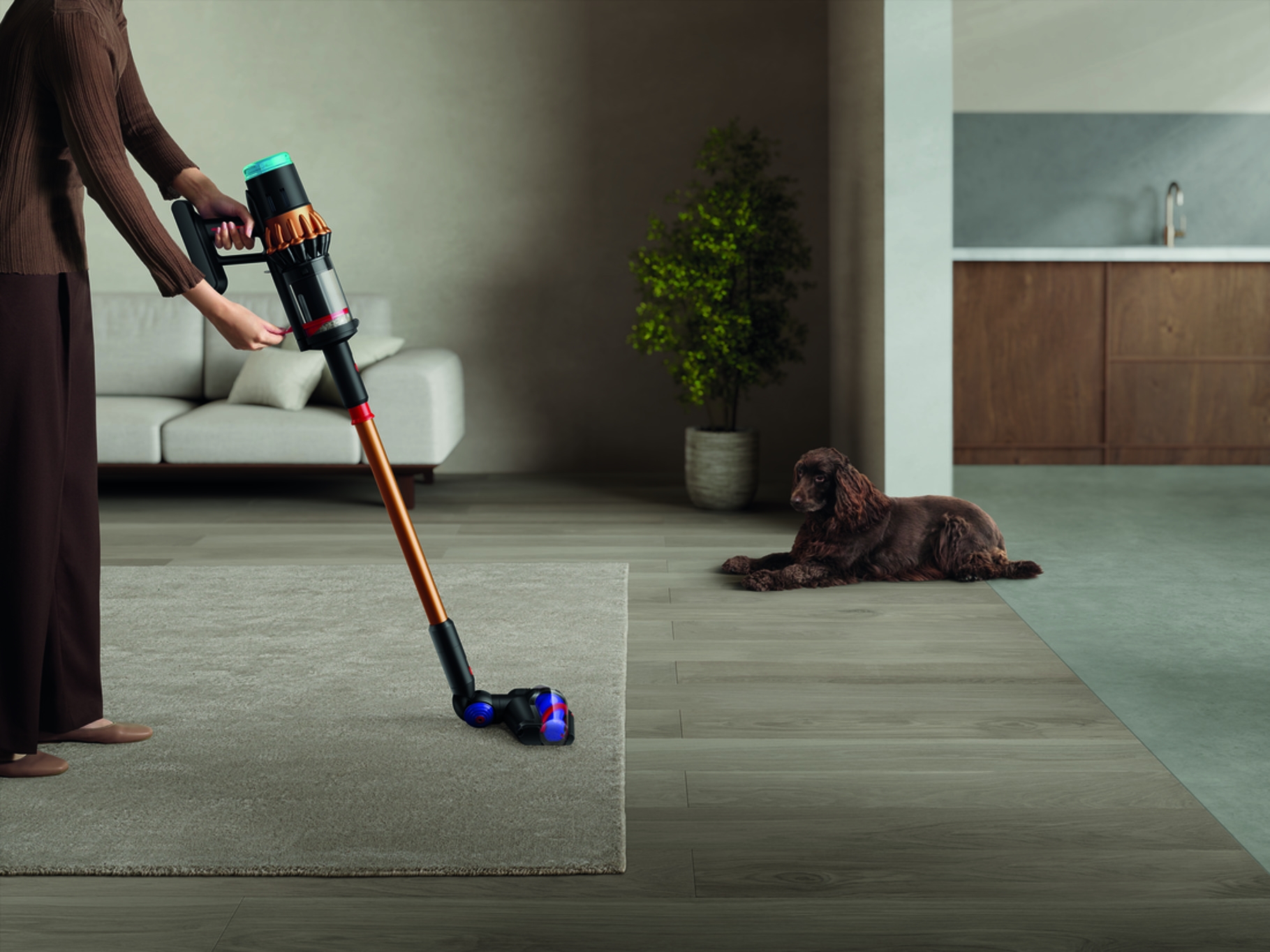 Επιχείρηση καθαριότητα σπιτιού: Το δίδυμο που αλλάζει τα δεδομένα - εικόνα 11