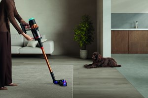 Επιχείρηση καθαριότητα σπιτιού: Το δίδυμο που αλλάζει τα δεδομένα - εικόνα 11