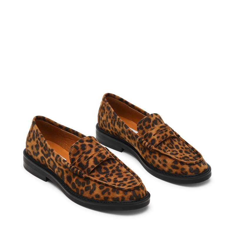 steve madden
