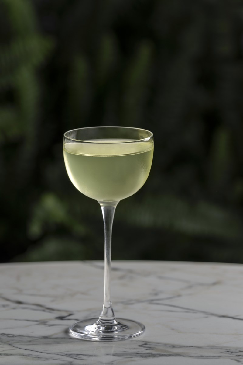 Dairy Spring