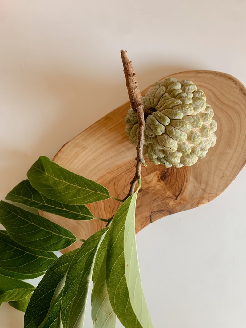 Τσεριμόγια