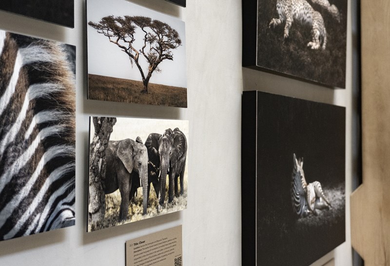NMW_Exhibit_