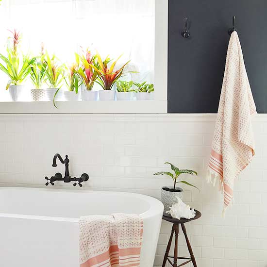Γιατί πρέπει να έχεις φυτά στο μπάνιο σου;