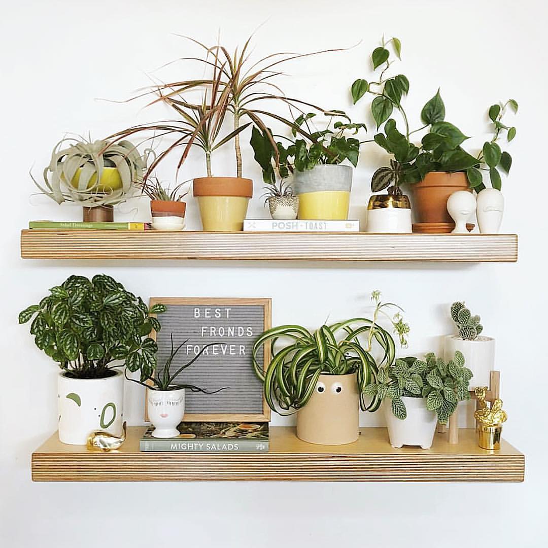 Πώς θα γεμίσεις το χώρο σου με φυτά;