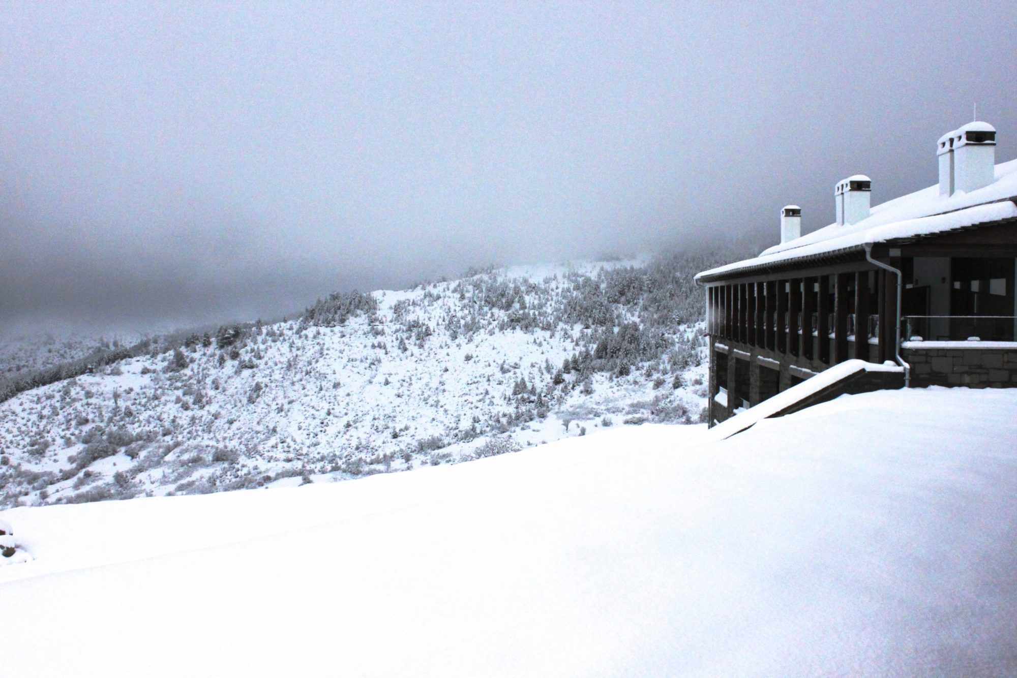 Grand Forest: Ένας παράδεισος στο Μέτσοβο
