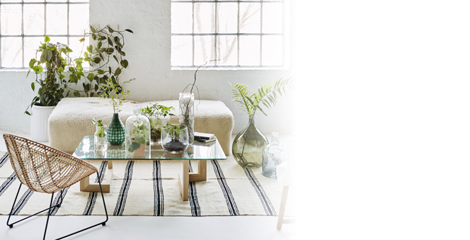 Το πράσινο κίνημα της διακόσμησης: Όσα πρέπει να ξέρετε για τα φυτά εσωτερικού χώρου