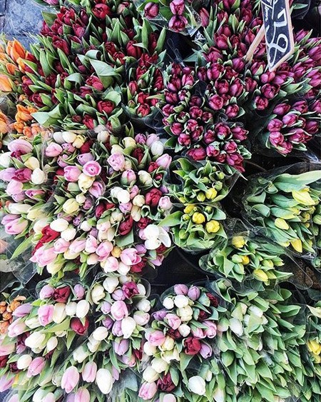 Το Instagram... ανθίζει