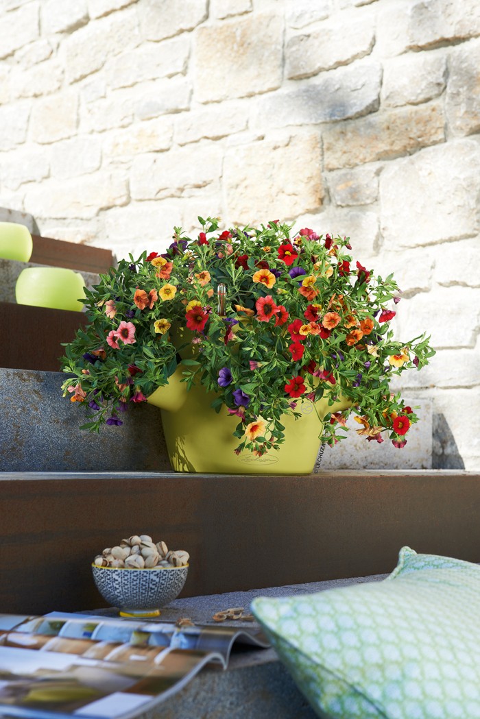 Γεμίστε το χώρο σας λουλούδια