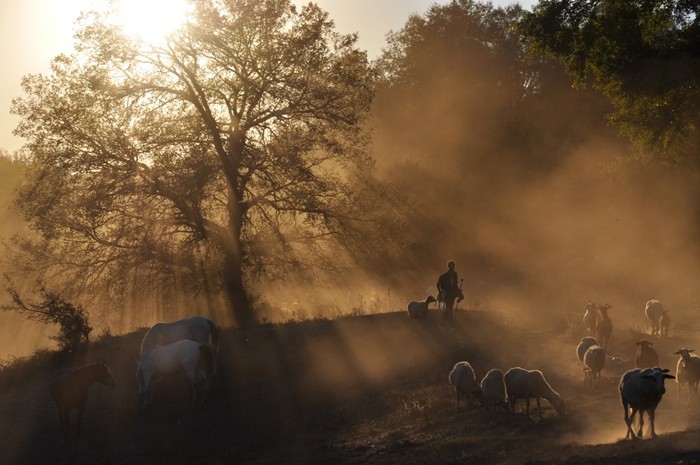 Ένα ντοκιμαντέρ για τους σούπερ ήρωες της διπλανής πόρτας