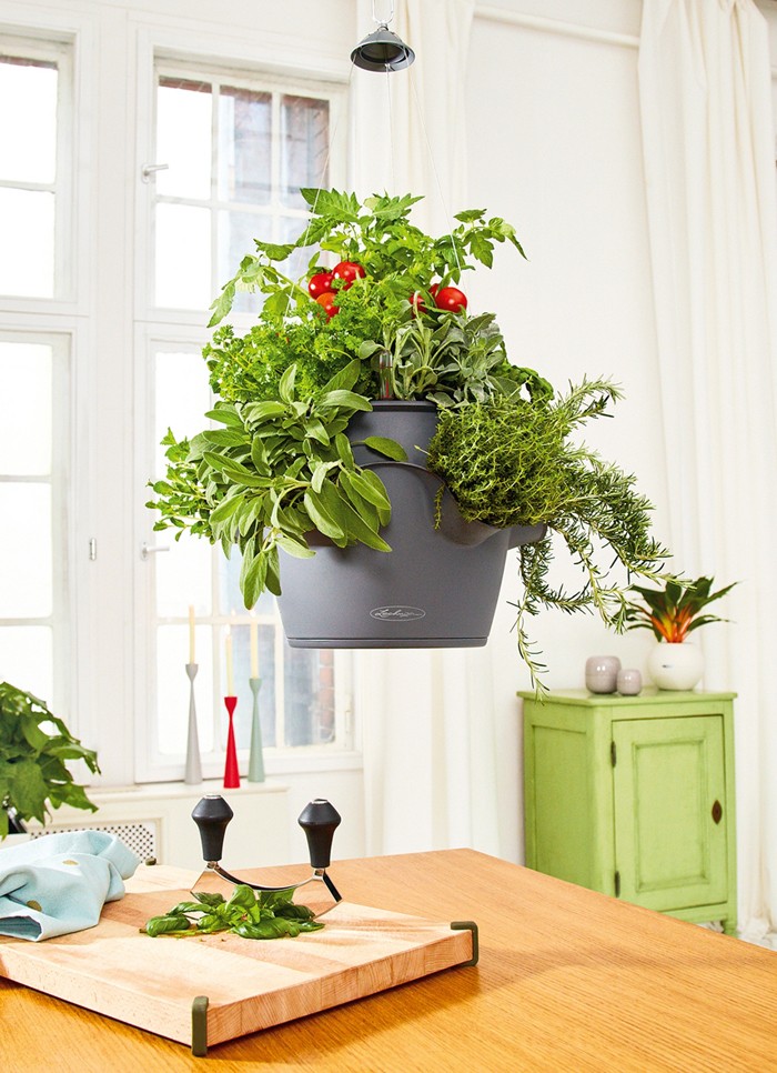 Γεμίστε την κουζίνα σας μυρωδικά