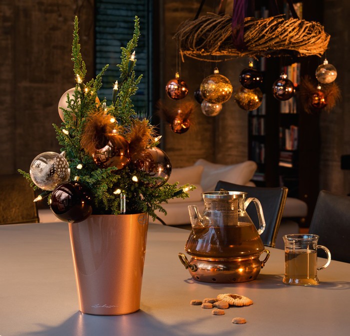 Στολίστε το σπίτι σας με φυτά και λουλούδια