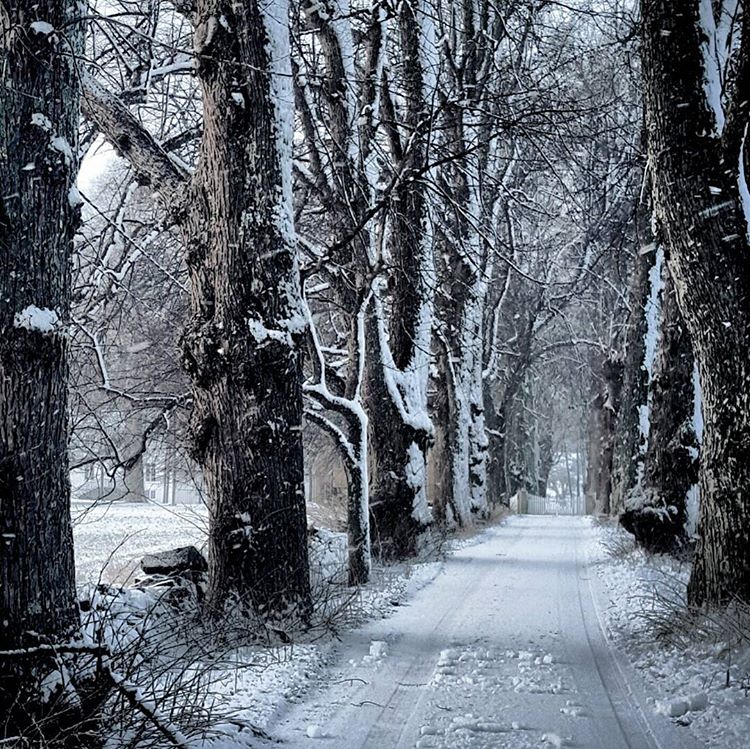 Παραμυθένιο cocooning σε ένα χιονισμένο σπίτι στη Νορβηγία