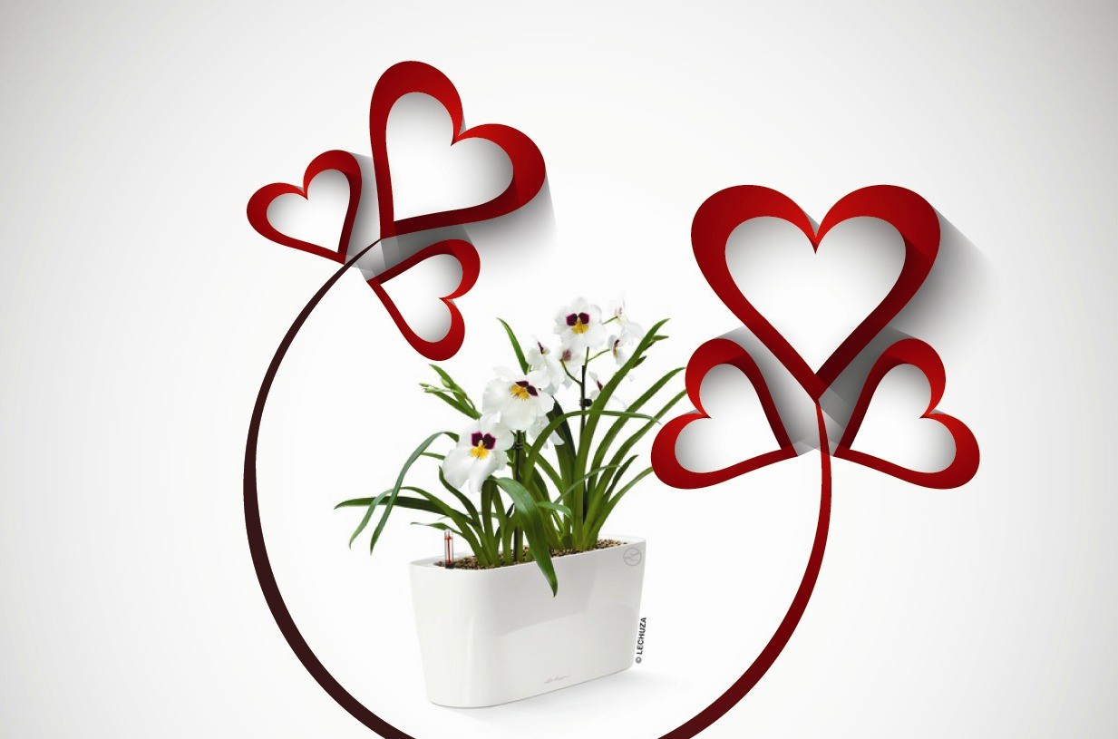 O πιο όμορφος τρόπος να πείτε «Σ' αγαπώ»