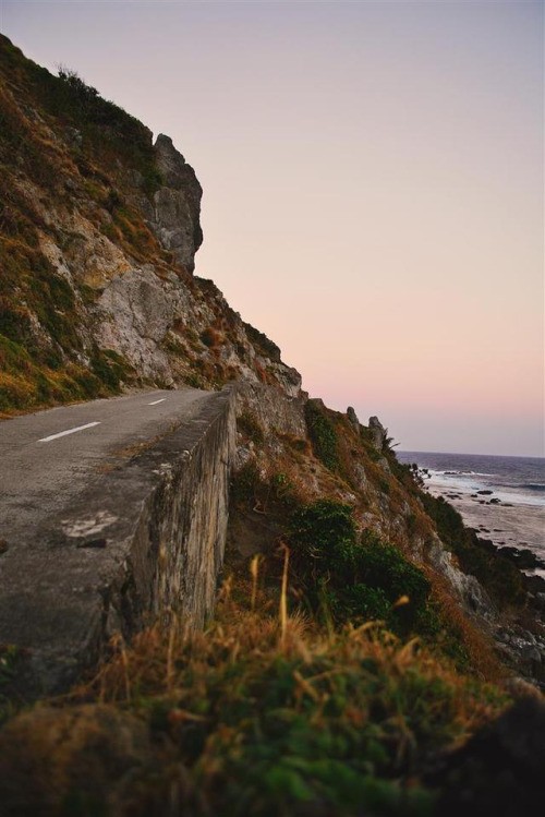 H ζωή είναι αγρίως απίθανη (38 φωτογραφίες που θα σας ξεσηκώσουν)