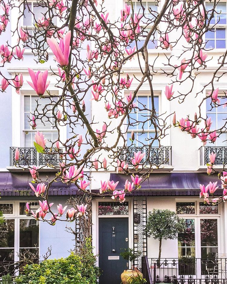 Ανθισμένες γειτονιές στο κέντρο μιας πόλης