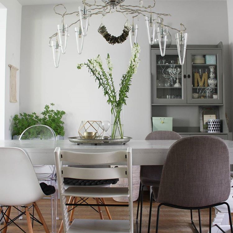 Σπάστε τη μονοτονία σε κάθε γωνιά με φυτά εσωτερικού χώρου