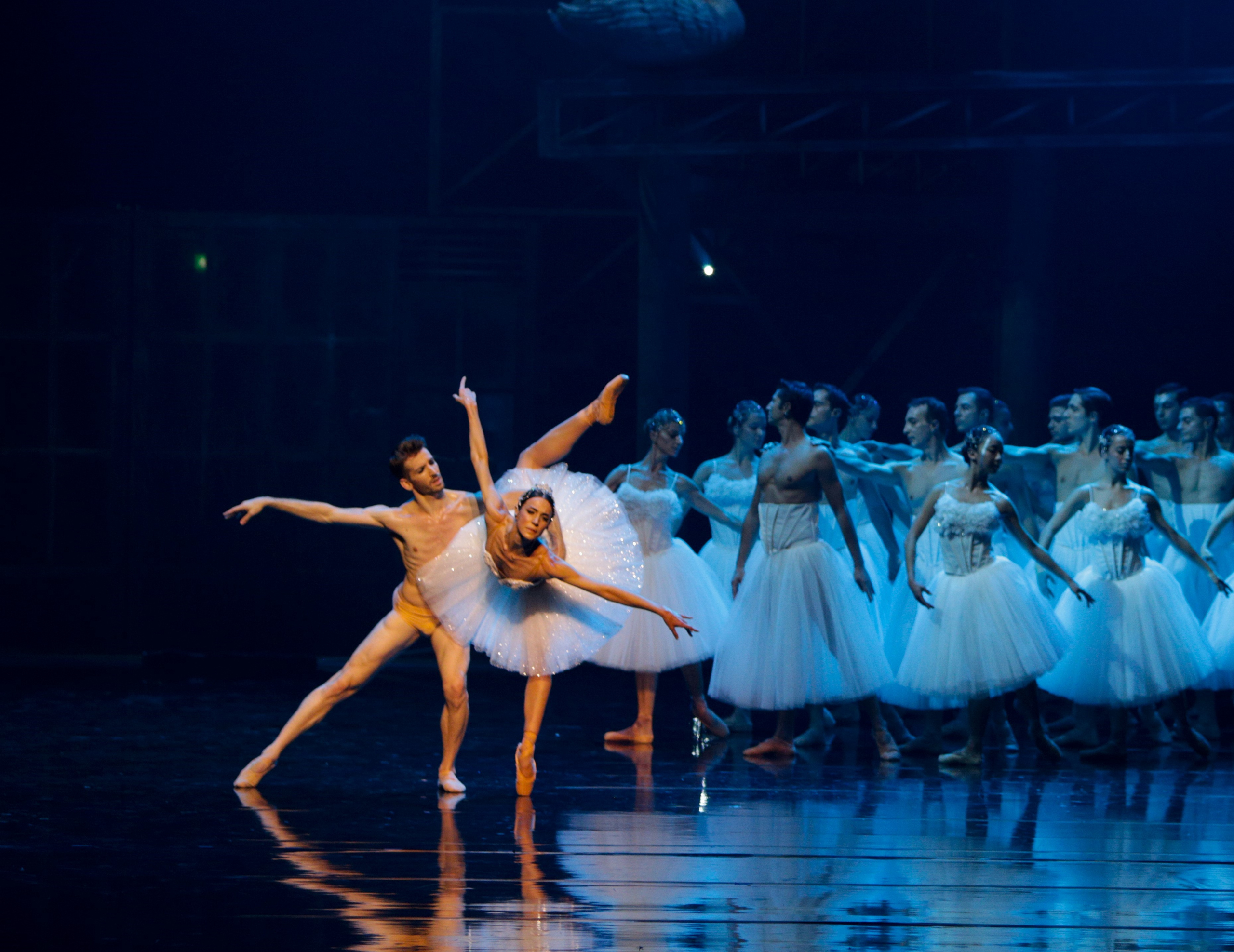 Η Λίμνη των Κύκνων: Μια μαγική παράσταση που δεν πρέπει να χάσετε!