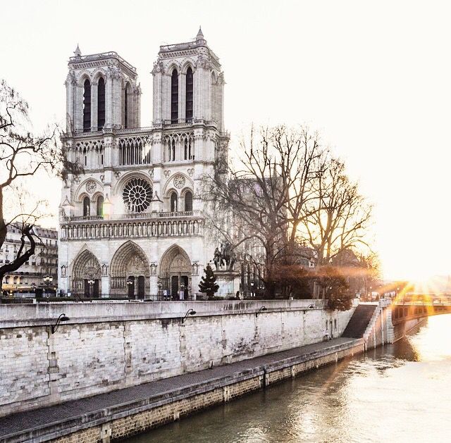 Ο κόσμος της μόδας βοηθά στην ανοικοδόμηση της Παναγίας των Παρισίων