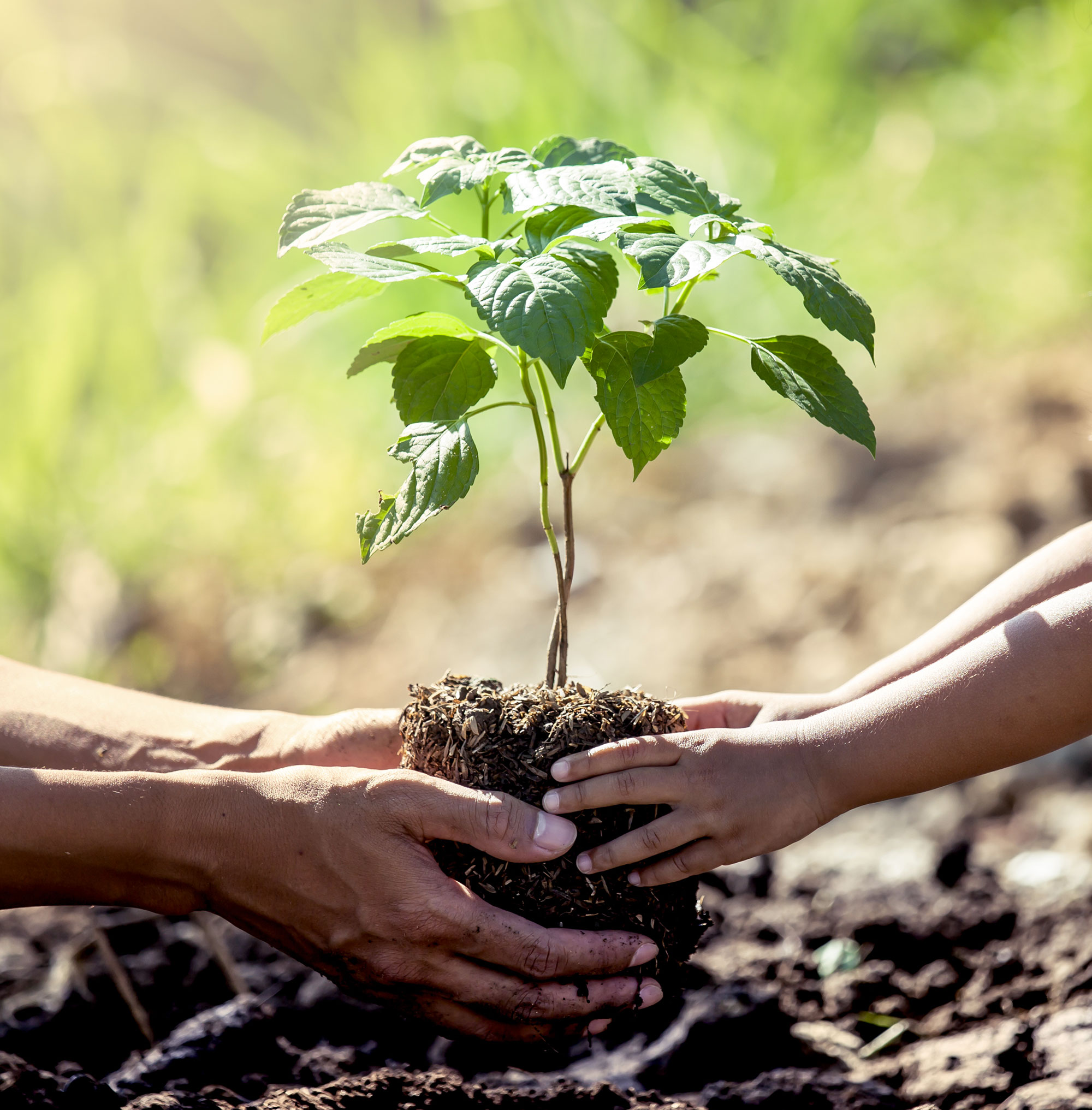 Γιορτάζουμε την Παγκόσμια Ημέρα Γης με μια δέσμευση
