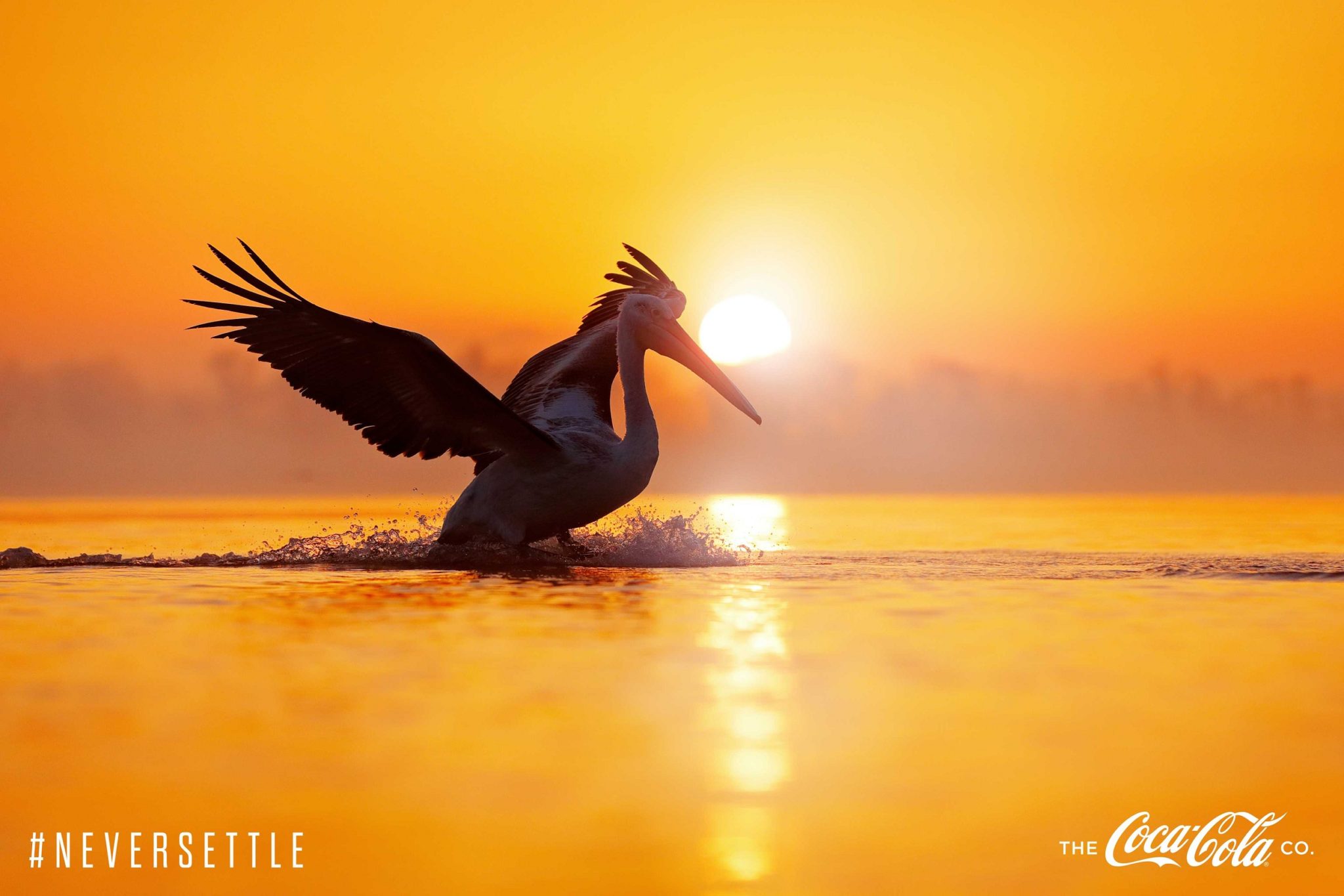 Φτιάχνουμε ένα καλύτερο μέλλον για τον πλανήτη μας