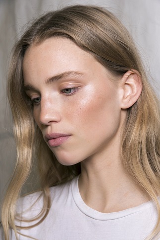 Οι πόροι στο μικροσκόπιο