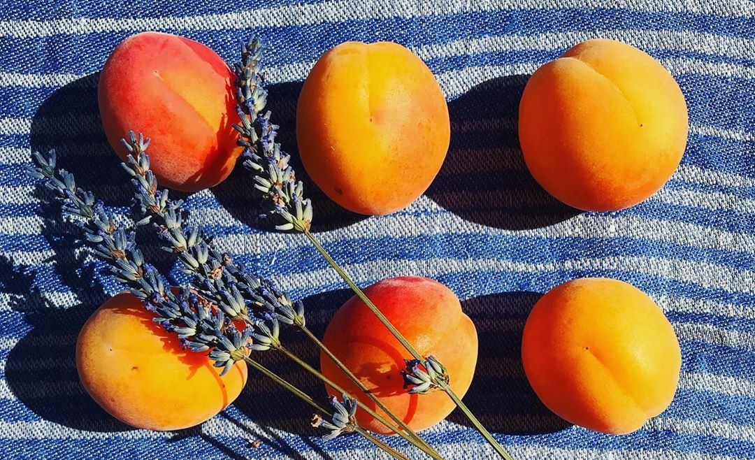 6+1 λόγοι που τα βερίκοκα είναι το απόλυτο superfood του καλοκαιριού