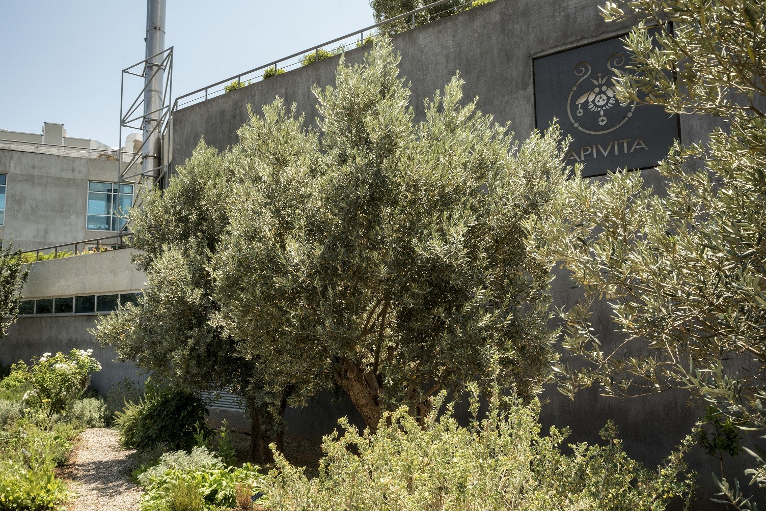 Γιορτάζουμε την Ημέρα Περιβάλλοντος με ένα νέο βοτανόκηπο στην καρδιά της Αθήνας