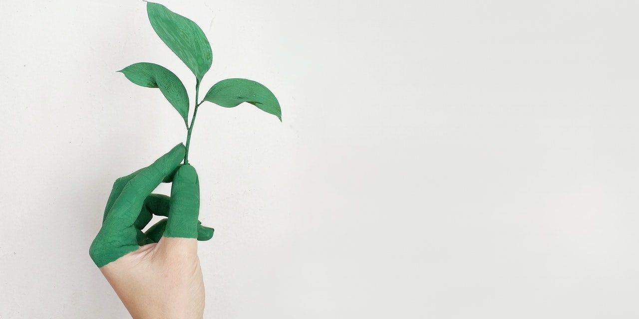 Eco Living in Practice: Ανακοινώθηκαν οι νικητές των φετινών Green Awards