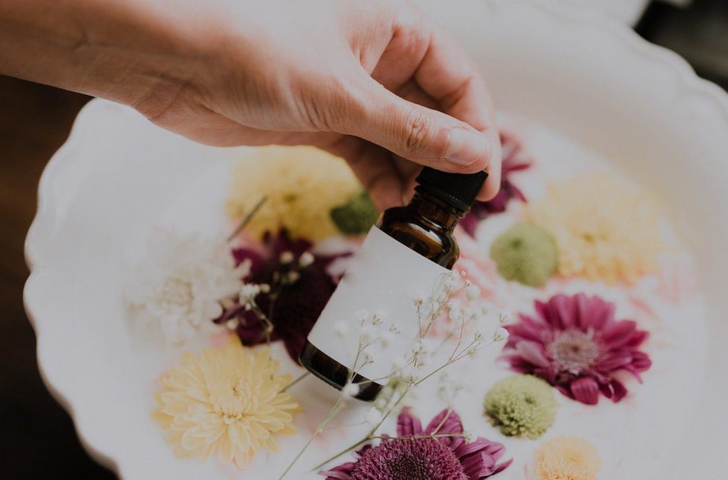 Jojoba Oil: Το φυσικό συστατικό που αξίζει μια θέση στην skincare ρουτίνα σου