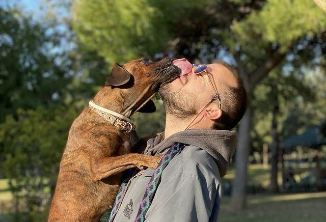 Ο dog trainer Γιάννης Τούσης μας απαντά σε όλα όσα θέλουμε να ξέρουμε για την εκπαίδευση του σκύλου μας!