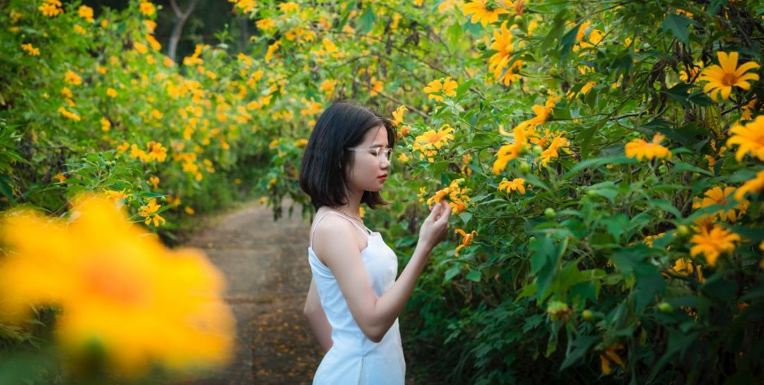 3 έξυπνοι τρόποι να φροντίσουμε τα φυτά και τον κήπο μας αυτό το Σεπτέμβρη