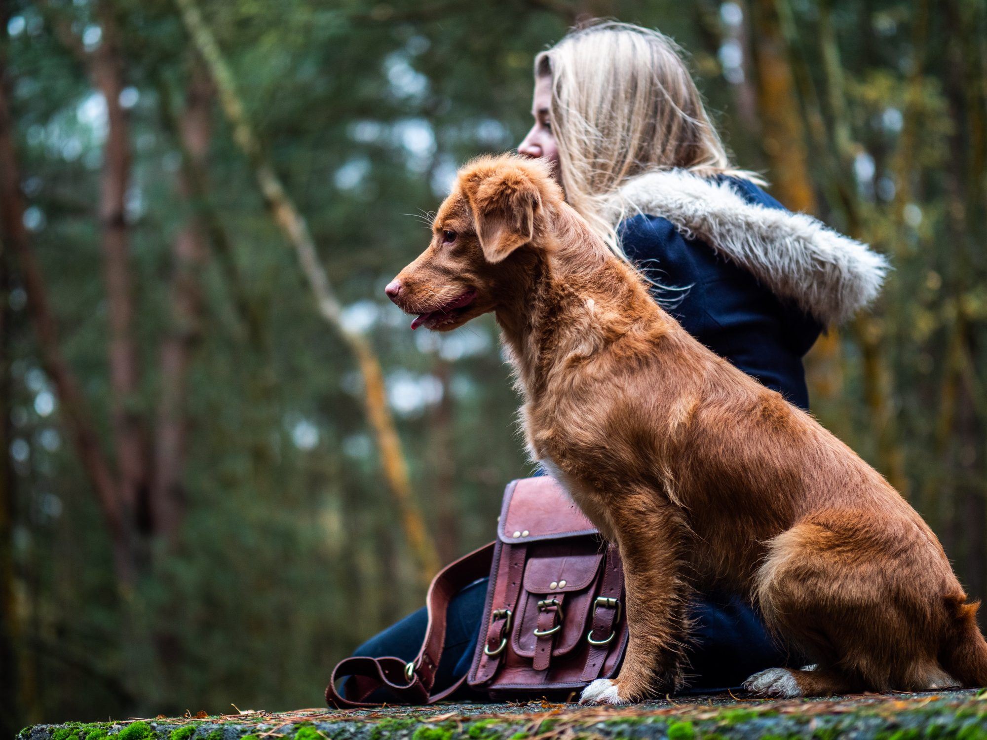 13 δώρα που θα λατρέψουν όλοι οι pet lovers (μαζί και εμείς!)