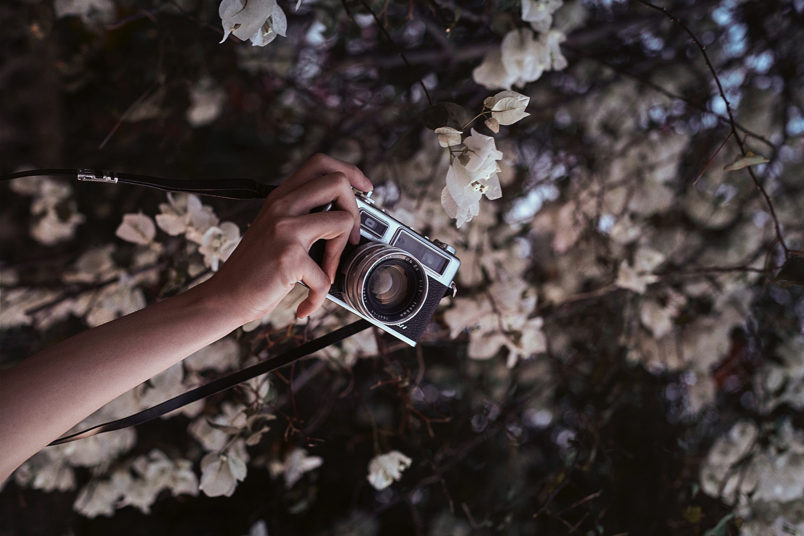 Τα ζώδια της ημέρας (09/05)