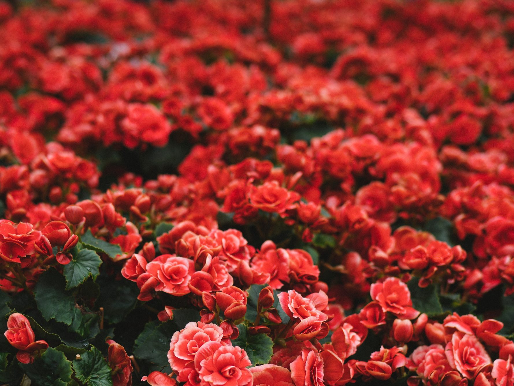 Τα ζώδια της ημέρας (18/05)