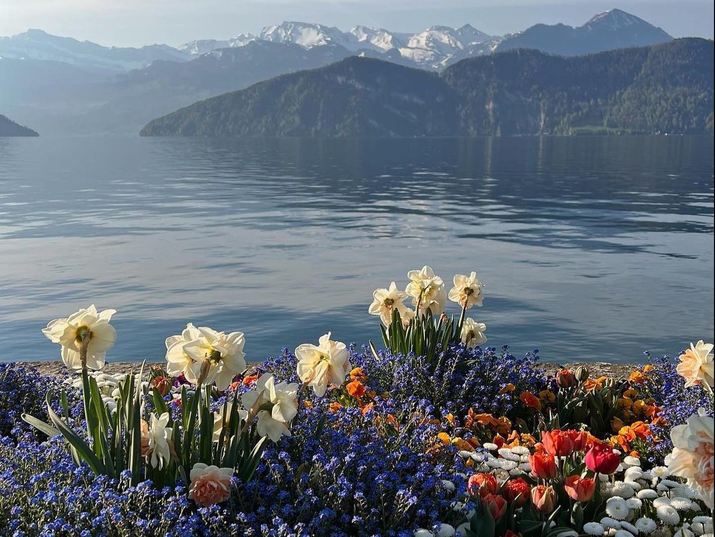 Τα ζώδια της ημέρας (22/05)