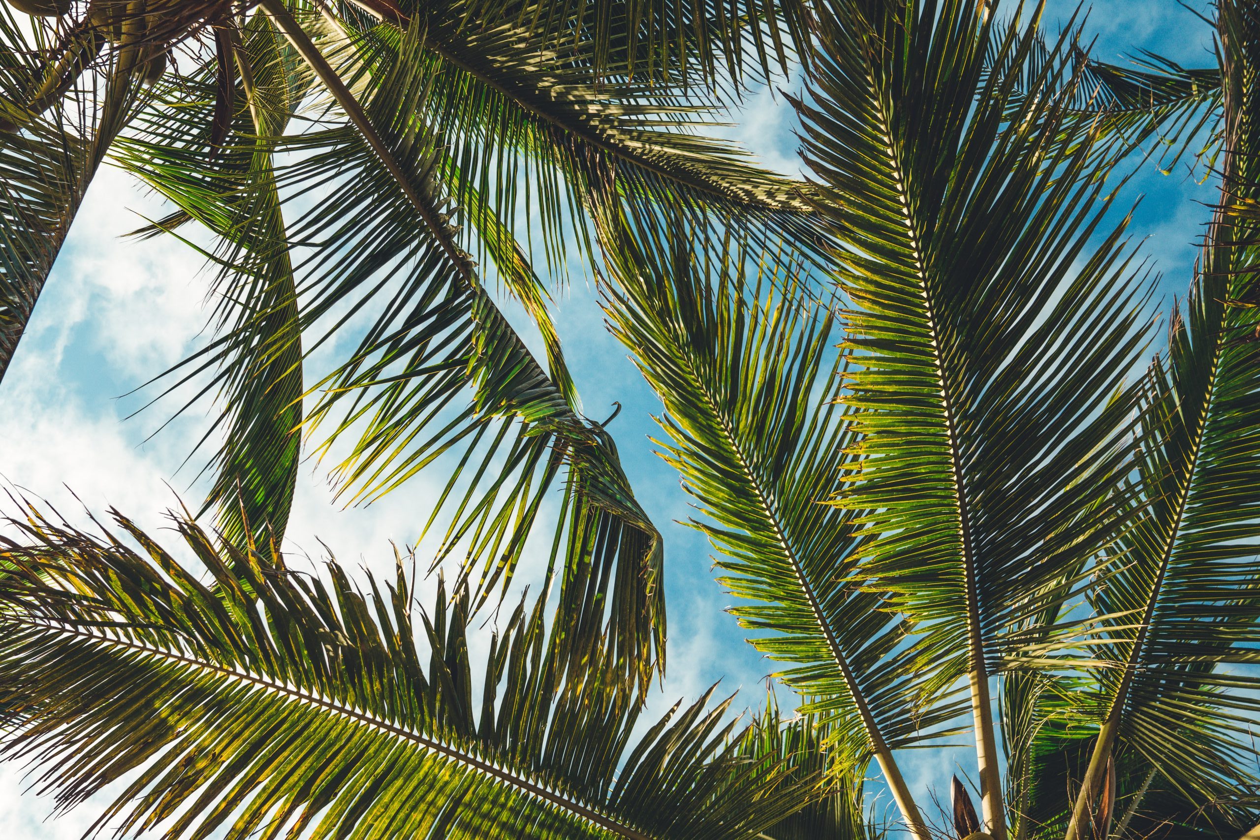 Τα ζώδια της ημέρας (12/06)