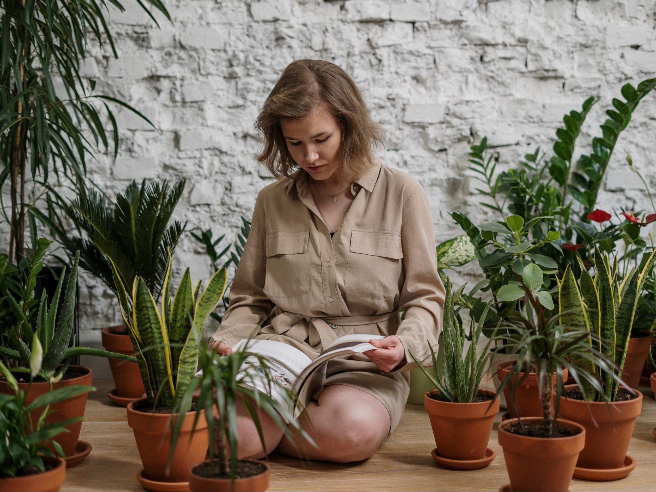 Γιατί κιτρινίζουν τα φύλλα των φυτών σου; Δες πώς θα το αντιμετωπίσεις