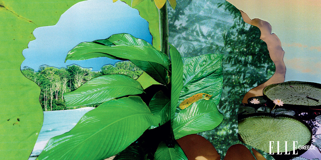 ELLE GREEN: Είναι η κλιµατική µια βαθιά ανθρωπιστική κριση;