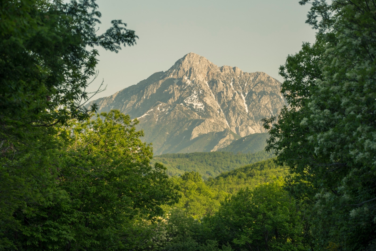 Πώς ένα brand με φόντο το Όρος Άθως καινοτομεί; Τo success story της Athonites, της νέας viral ελληνικής μάρκας