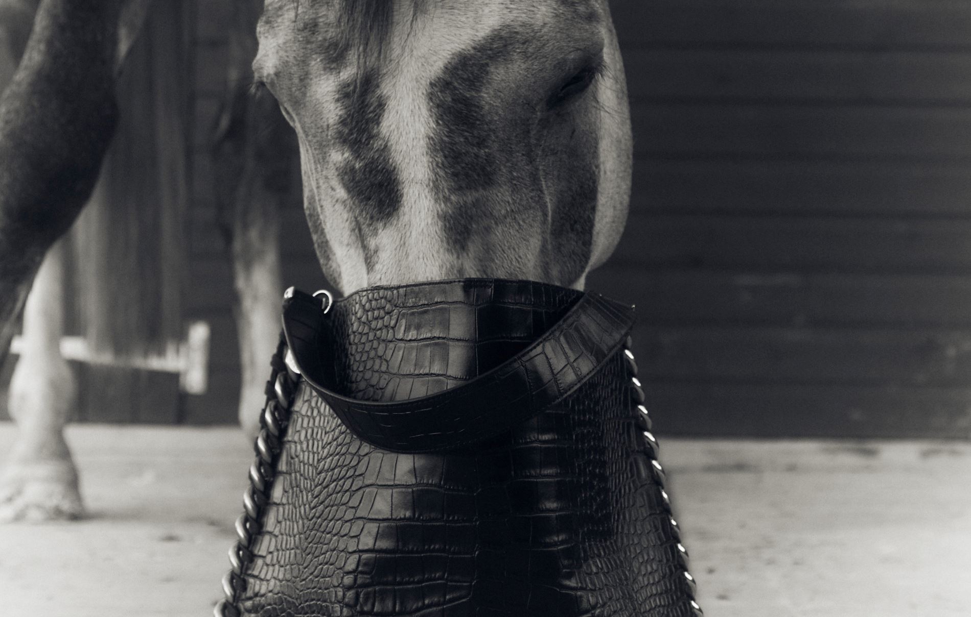 Stella McCartney: Η limited edition της iconic Falabella τσάντας είναι διαθέσιμη για καλό σκοπό
