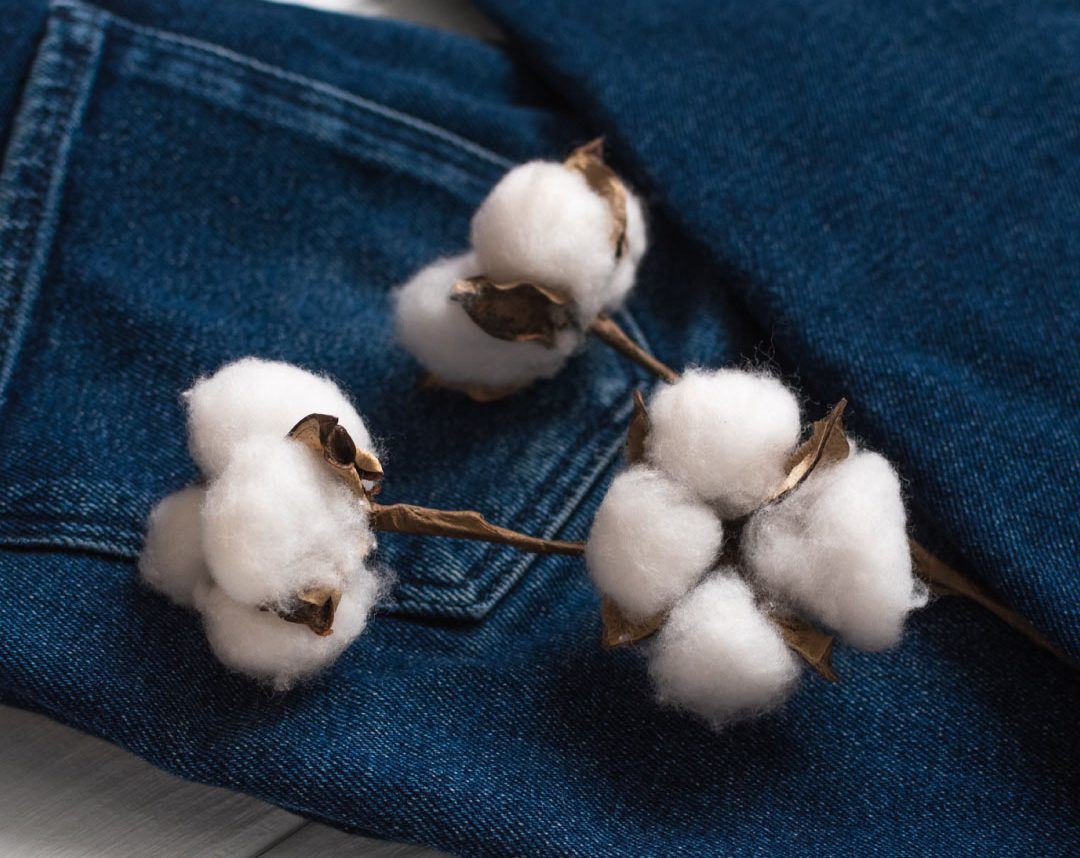 EUCOTTON: Το ευρωπαϊκό βαμβάκι προς τη διάσωση της μόδας