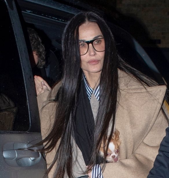 Η Demi Moore κράτησε την it-τσάντα για όλες τις ώρες